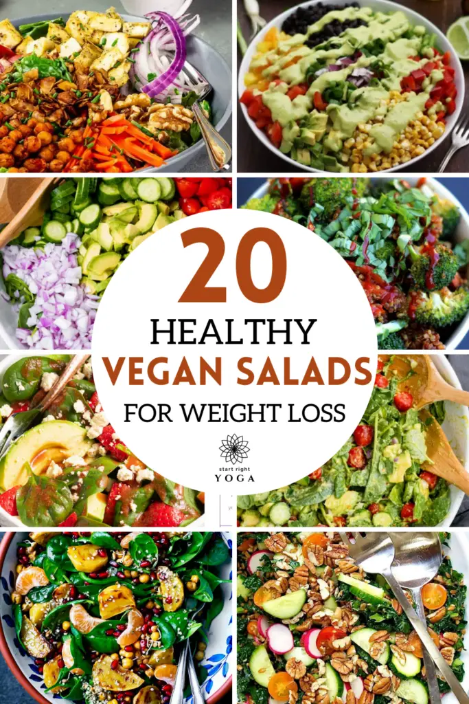 If you are looking for healthy vegan salads for weight loss then these 20 salad recipes are just what you need to help you keep losing the pounds. 